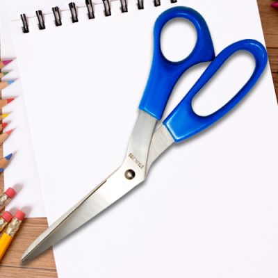 All Purpose Scissors