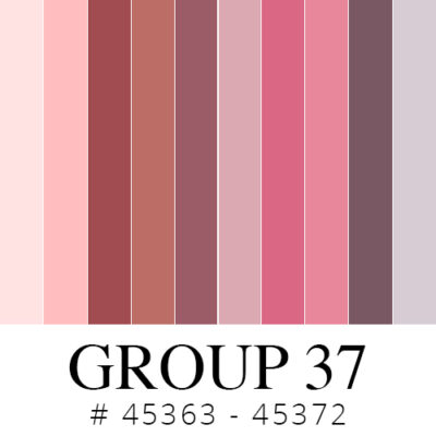 Sullivans Six-Strand Embroidery Floss Group 37 Bulk